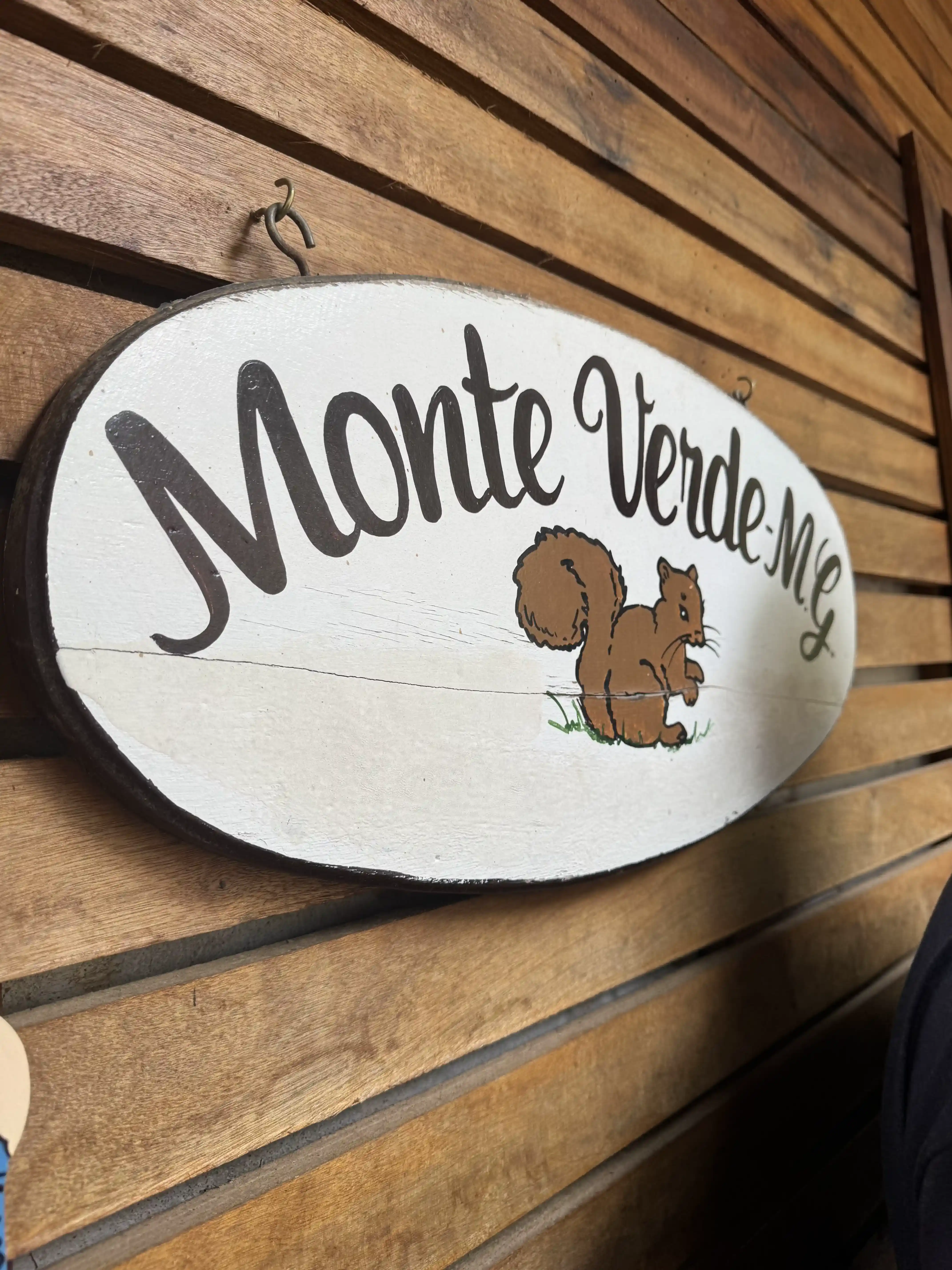 Vista de Monte Verde