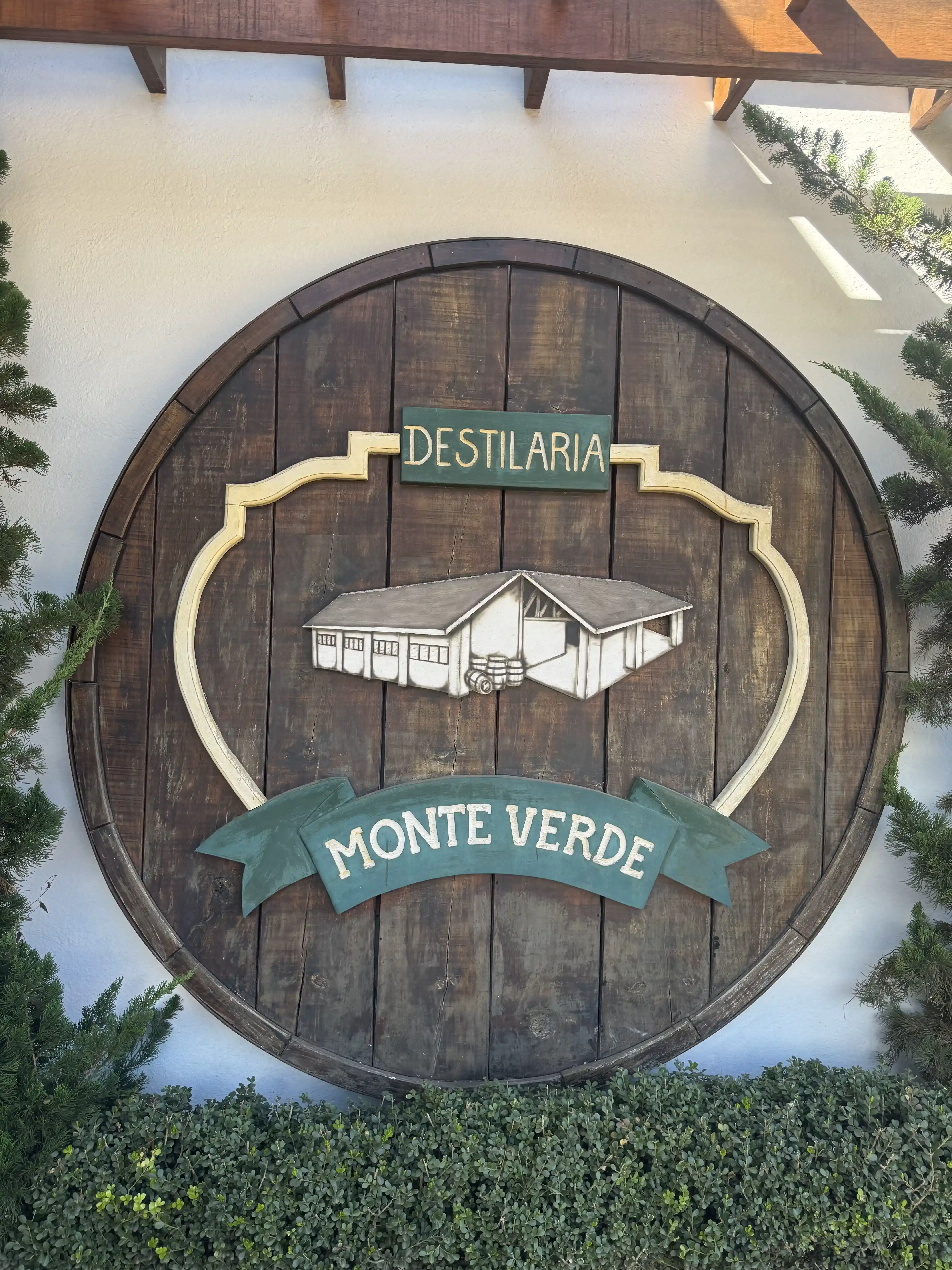 Vista de Monte Verde