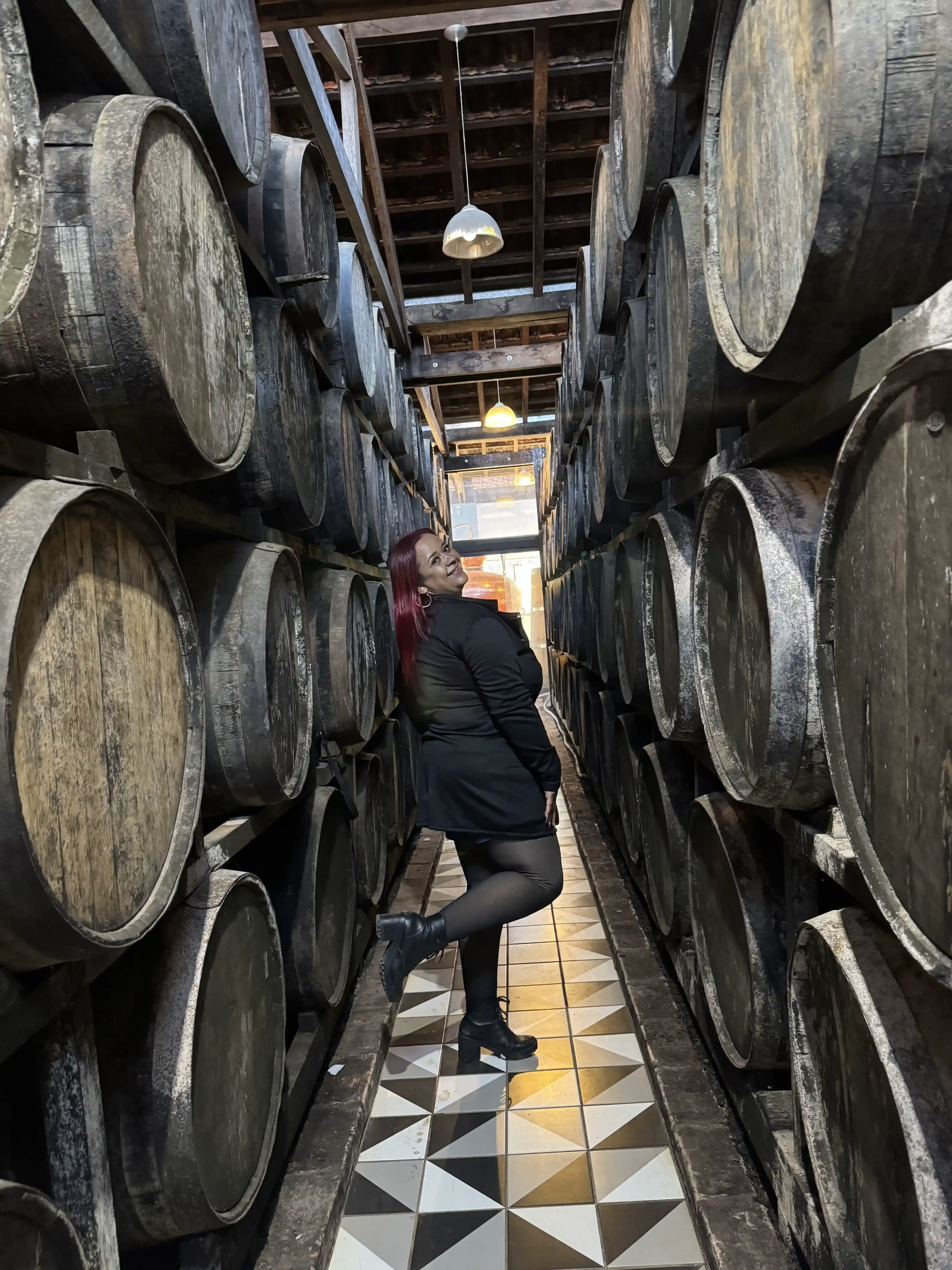 Vista de Monte Verde