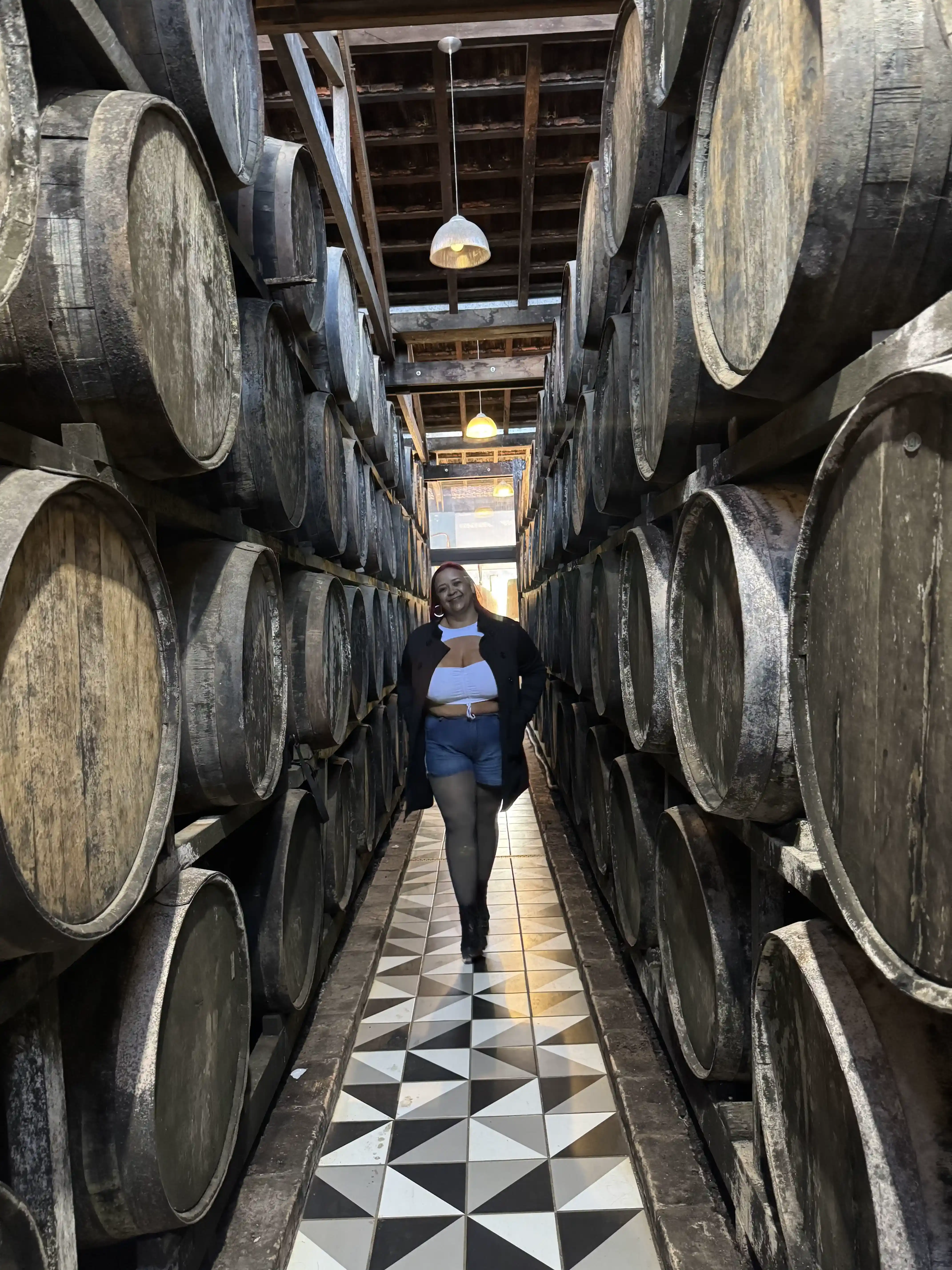 Vista de Monte Verde