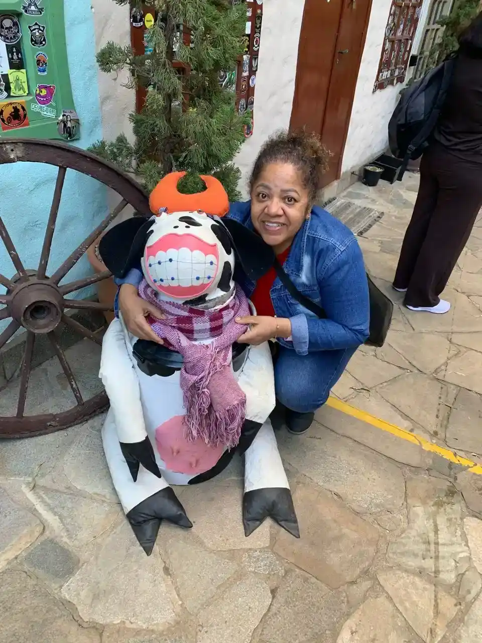 Vista de Monte Verde