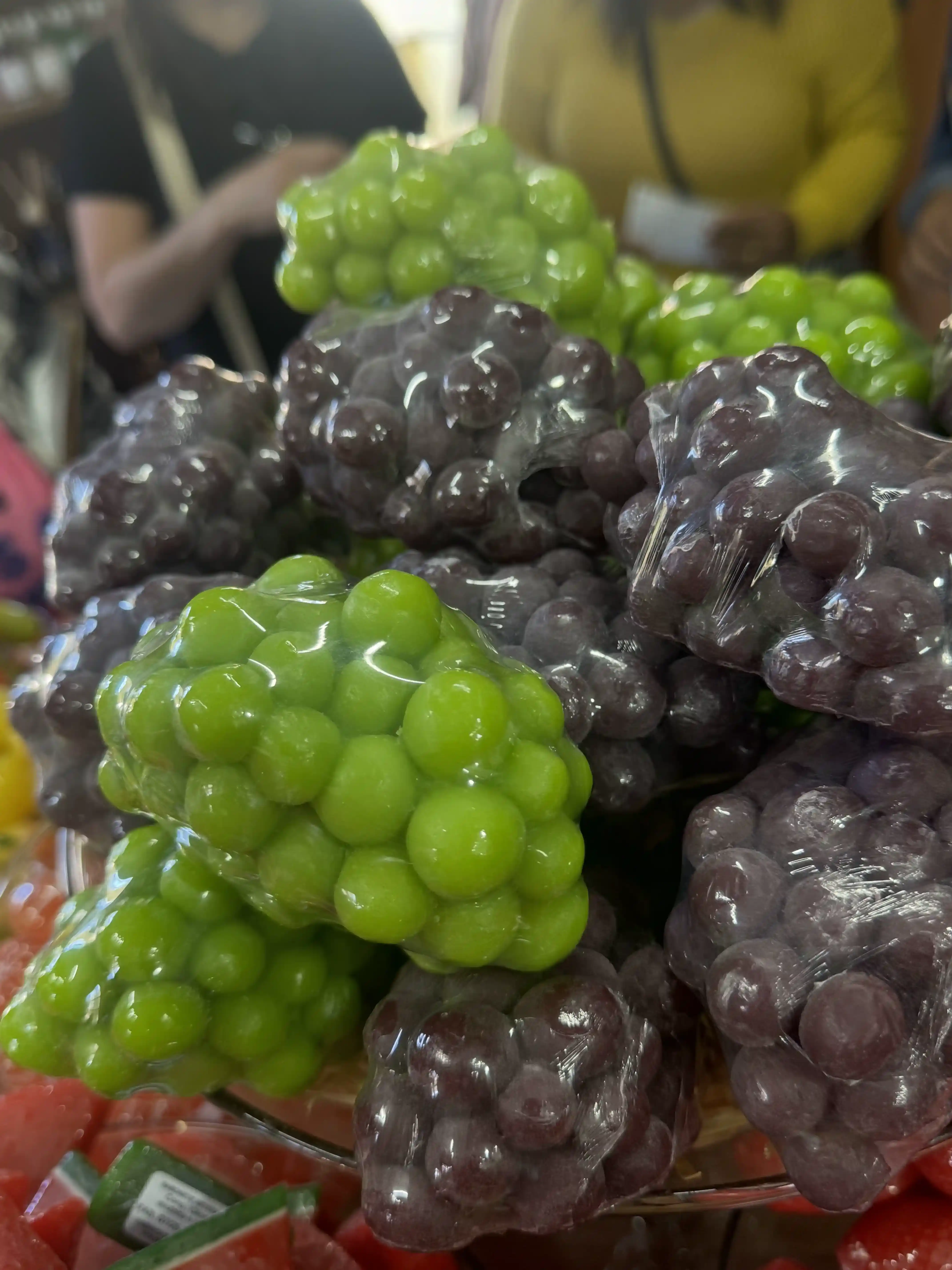 Vista de Monte Verde