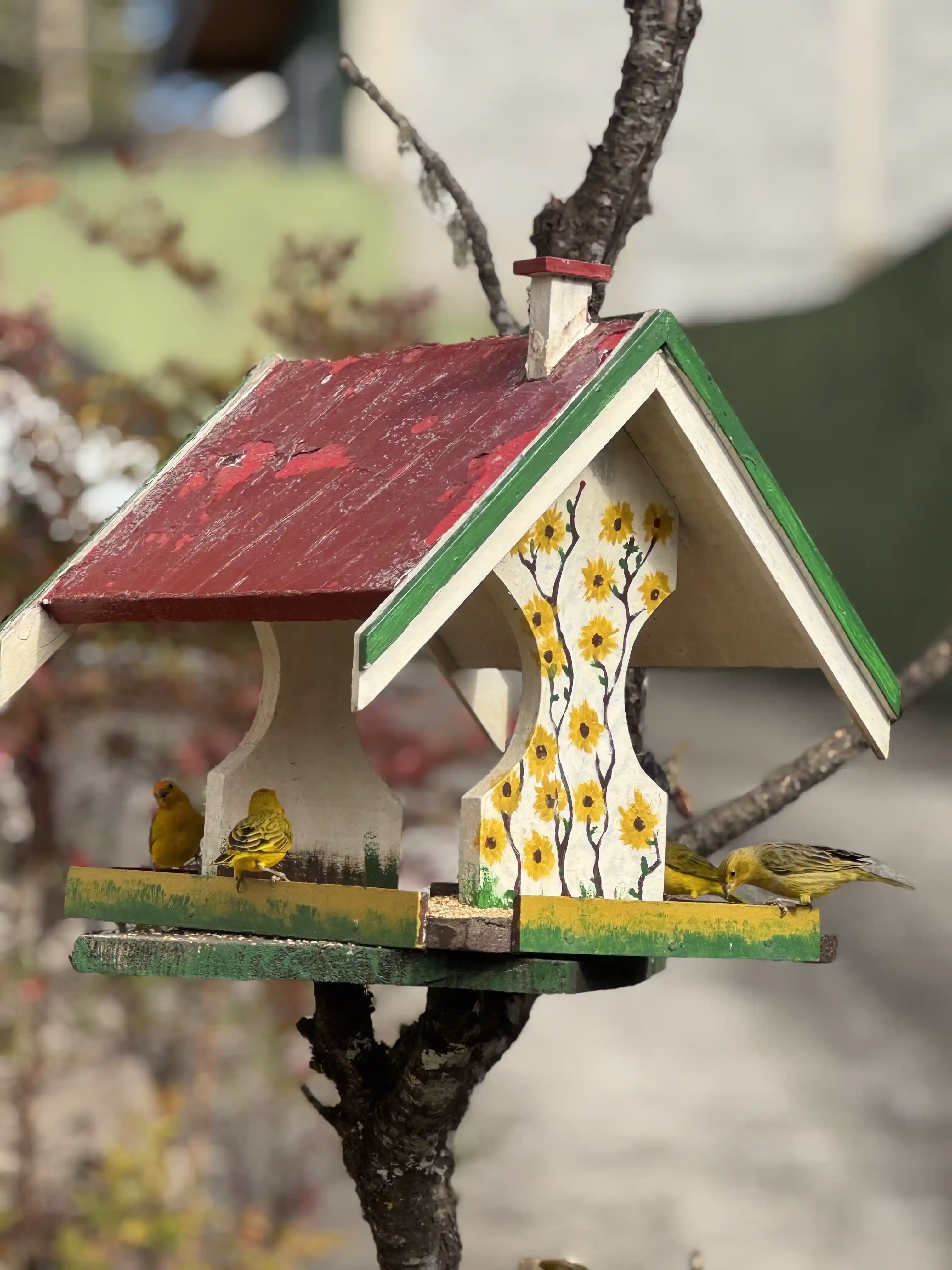 Vista de Monte Verde